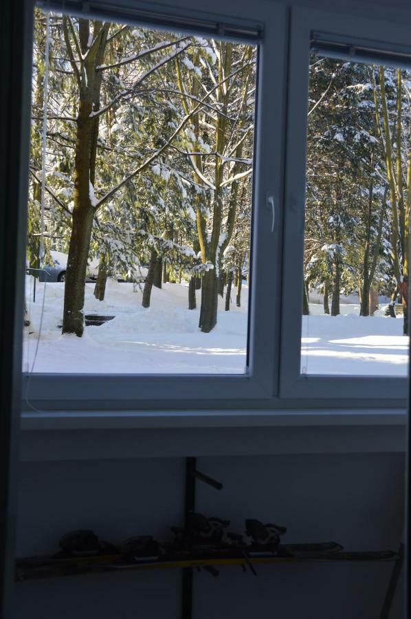Apartament Izerski Klimat Świeradów-Zdrój エクステリア 写真